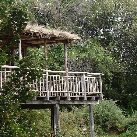 Puelo Siempreverde Villa Puelo River Ngoại thất bức ảnh