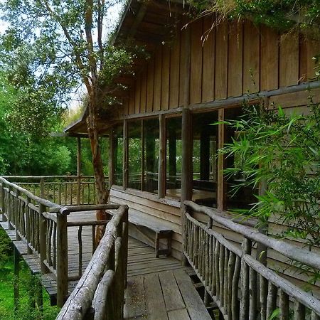 Puelo Siempreverde Villa Puelo River Ngoại thất bức ảnh