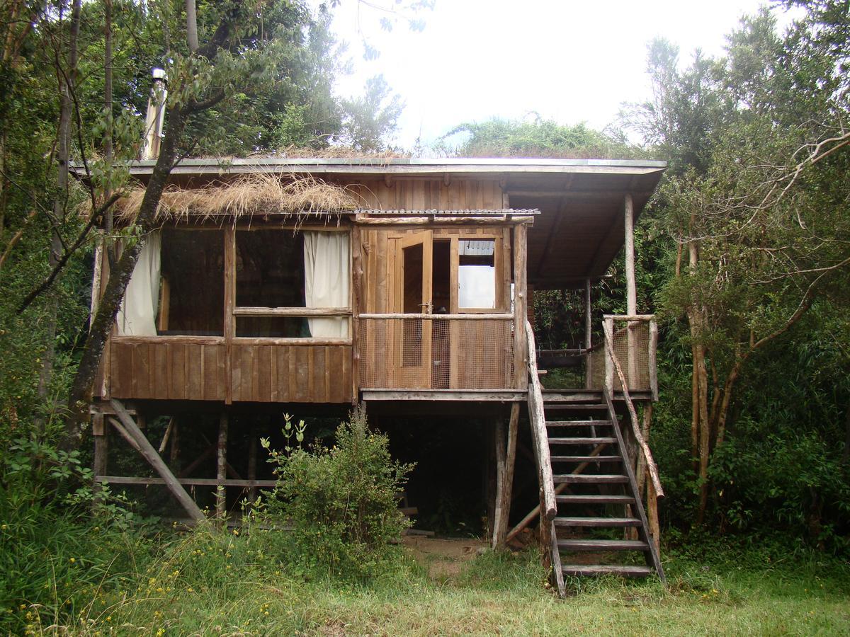 Puelo Siempreverde Villa Puelo River Ngoại thất bức ảnh
